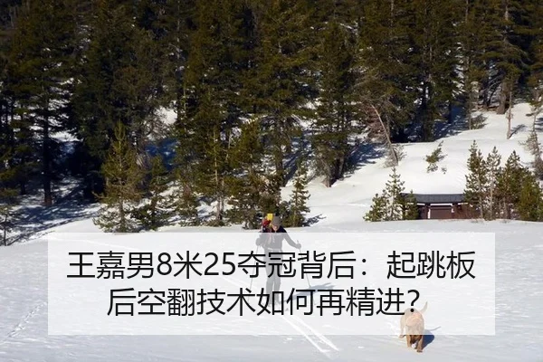 王嘉男8米25夺冠背后：起跳板后空翻技术如何再精进？
