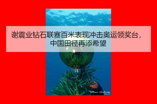 xie-zhen-ye-zuan-shi-lian-sai-bai-mi-biao-xian-chong-ji-ao-yun-ling-jiang-tai-zhong-guo-tian-jing-zai-tian-xi-wang-2-454.jpg